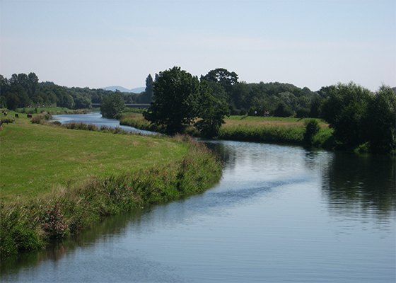 Flussabschnitt der Gewässerstrukturgüte 3–4 – Die Werre in Löhne, Kreis Herford, NRW